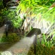 43LED Solar Landscape Light Front Rear Light Up RGB Waterproof Garden Decor Lamp
