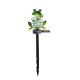 LED Solar Powered Lawn Light Frog Ground Plug Spring Lamp Outdoor Garden Yard Landscape Decoration