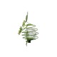 LED Solar Powered Lawn Light Frog Ground Plug Spring Lamp Outdoor Garden Yard Landscape Decoration