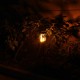 Solar Power 51 LED Torch Garden Light Flickering Fire Flame Outdoor Garden Lawn Lamp
