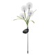 Solar Powered LED Lawn Light Simulation Colorful Flower Outdoor Garden Yard Lamp for Outdoor Path Home Decor Solar Powered LED Lawn Light Simulation Colorful Flower Outdoor Garden Yard Lamp for Outdoor Path Home Decor
