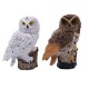 Solar Powered Owl LED Lawn Lamp Garden Decor Waterproof Landscape Light