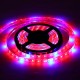 0.5M/1M/1.5M/2M/3M/4M/5M USB Waterproof 5050 LED Grow Strip Light Hydroponic Full Spectrum Indoor Plant Lamp