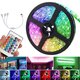 12V LED Light Strip 15M 5050 RGB LED Tape Lights RGB Rope Lights 16 Million Colors Flexible Changing with Remote Christmas Decorations Lights