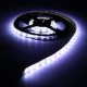 1M 2M SMD5630 Waterproof LED Flexible Strip Light for Home Decoration DC12V