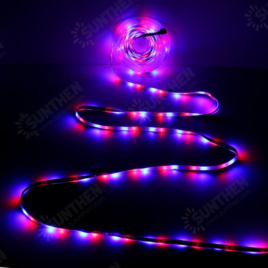 2M 3M 5M 10M 8mm DC12V Waterproof RGB LED Light Strip Remote Controller Outdoor Indoor KTV Hotel Home Decor