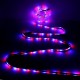 2M 3M 5M 10M 8mm DC12V Waterproof RGB LED Light Strip Remote Controller Outdoor Indoor KTV Hotel Home Decor