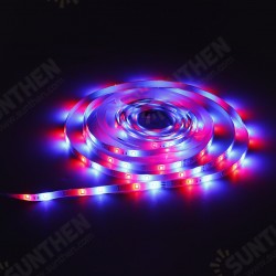2x5M Music Sound Activated LED Strip Light Waterproof 3528 RGB Tape Under Cabinet Kitchen Lamp Set + 44Keys Remote Control 2x5M Music Sound Activated LED Strip Light Waterproof 3528 RGB Tape Under Cabinet Kitchen Lamp Set + 44Keys Remote Control