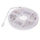 5M 10M Timer Music Control 5050 RGB Waterproof LED Strip Light+40Keys RF Remote Control+EU Power Adapter DC12V