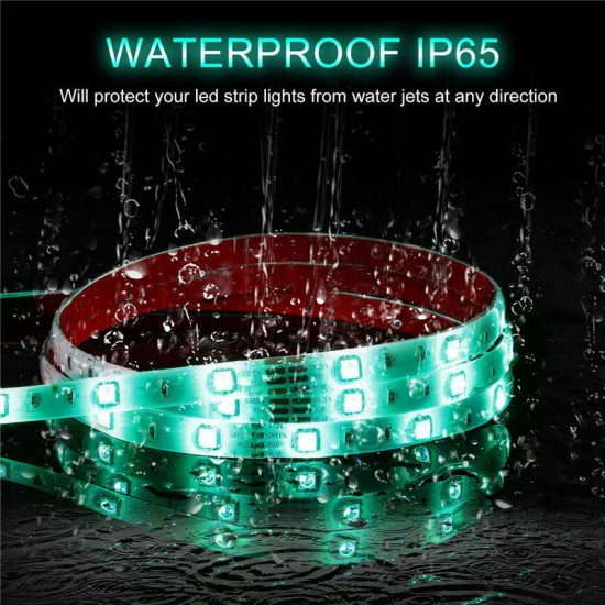 5M DC12V RGB Waterproof Indoor Outdoor Music LED Strip Light + 20 Keys Remote Control + Power Adapter