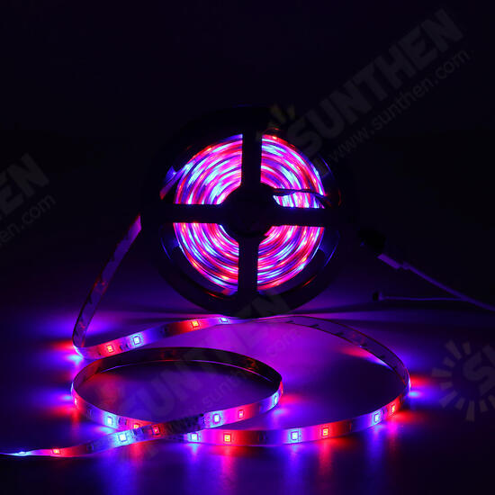 5M IP20 IP67 SMD2835 RGB LED Strip Light DC12V + 24Keys Or 44Keys Remote Control for Indoor Home Decor