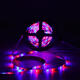 5M IP20 IP67 SMD2835 RGB LED Strip Light DC12V + 24Keys Or 44Keys Remote Control for Indoor Home Decor