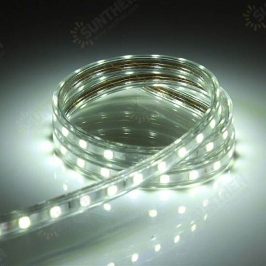 1M 5050 Waterproof IP67 Flexible Led Strip Light For XMAS Home Decor 110V