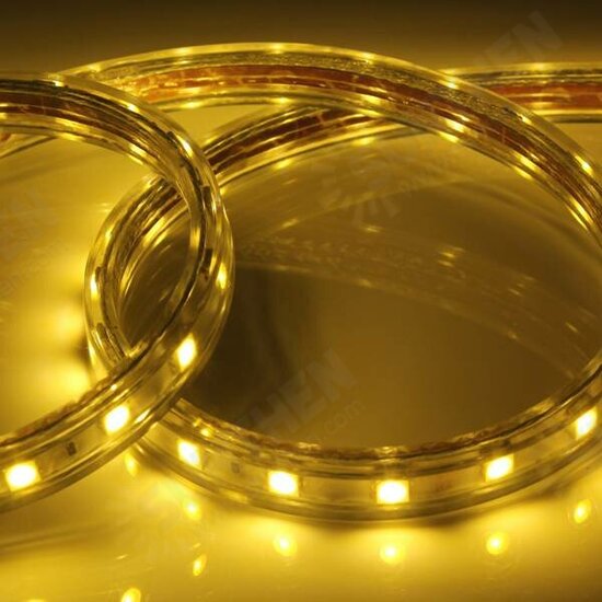 1M 5050 Waterproof IP67 Flexible Led Strip Light For XMAS Home Decor 110V