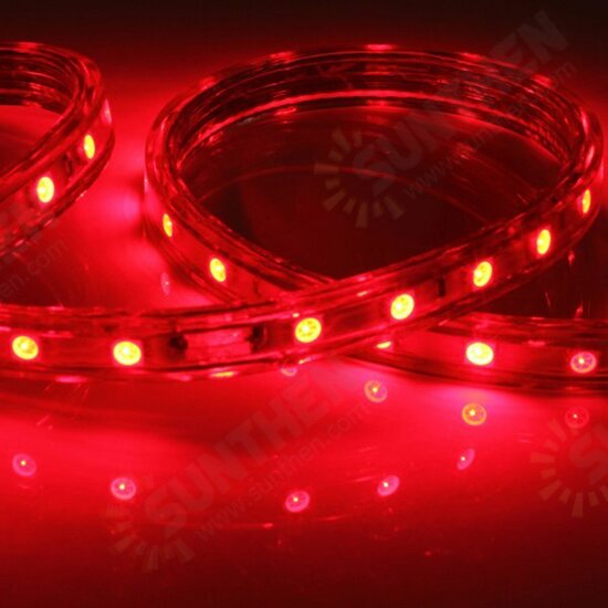 1M 5050 Waterproof IP67 Flexible Led Strip Light For XMAS Home Decor 110V