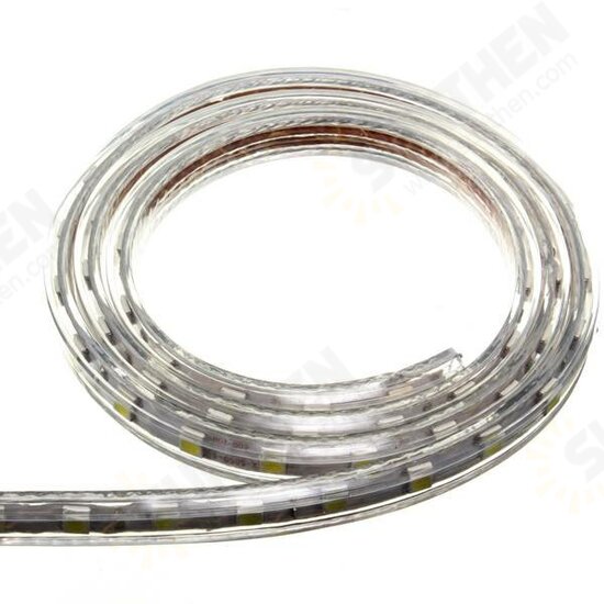 1M 5050 Waterproof IP67 Flexible Led Strip Light For XMAS Home Decor 110V