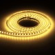 3M SMD3014 Waterproof LED Rope Lamp Party Home Christmas Indoor/Outdoor Strip Light 220V 3M SMD3014 Waterproof LED Rope Lamp Party Home Christmas Indoor/Outdoor Strip Light 220V
