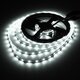 4M DC12V 19.2W 240 SMD 3528 Non-waterproof Red/Blue/Green/White/Warm White/RGB Flexible LED Strip 4M DC12V 19.2W 240 SMD 3528 Non-waterproof Red/Blue/Green/White/Warm White/RGB Flexible LED Strip