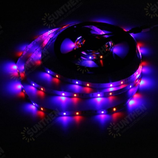 4M DC12V 19.2W 240 SMD 3528 Non-waterproof Red/Blue/Green/White/Warm White/RGB Flexible LED Strip