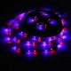 4M DC12V 19.2W 240 SMD 3528 Non-waterproof Red/Blue/Green/White/Warm White/RGB Flexible LED Strip 4M DC12V 19.2W 240 SMD 3528 Non-waterproof Red/Blue/Green/White/Warm White/RGB Flexible LED Strip