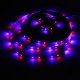 4M DC12V 19.2W 240 SMD 3528 Non-waterproof Red/Blue/Green/White/Warm White/RGB Flexible LED Strip