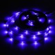 4M DC12V 19.2W 240 SMD 3528 Non-waterproof Red/Blue/Green/White/Warm White/RGB Flexible LED Strip