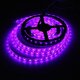 4M DC12V 57.6W 240 SMD 5050 Waterproof Red/Blue/Green/White/Warm White/RGB Flexible LED Strip Light