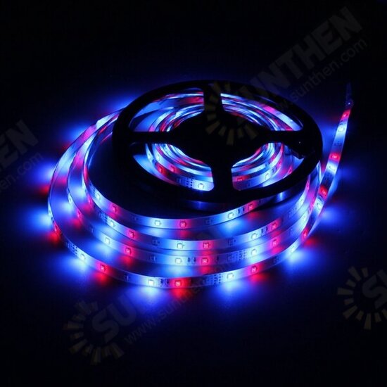 5M 24W DC12V 300 SMD 2835 Waterproof White/Warm White/Blue/Red/Green/RGB LED Flexible Strip Light