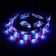 5M 24W DC12V 300 SMD 2835 Waterproof White/Warm White/Blue/Red/Green/RGB LED Flexible Strip Light