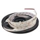 5M 24W DC12V 300 SMD 2835 Waterproof White/Warm White/Blue/Red/Green/RGB LED Flexible Strip Light