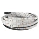 5M 30W LED Strip Flexible Light 300 SMD 5630 White/Warm White/Red/Blue Waterproof IP65 DC12V