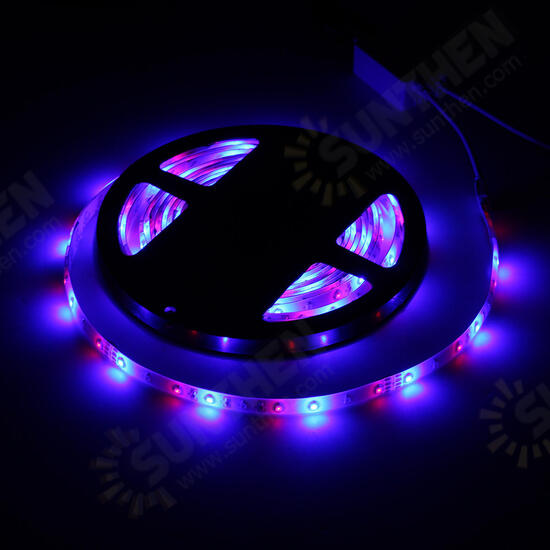 5M 3528 SMD 300LED RGB Waterproof Flexible Strip Light 44 keys Remote Control EU Plug DC12V