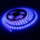 5M 3528SMD Non-waterproof UV Purple LED Strip Light with DC Connector DC12V