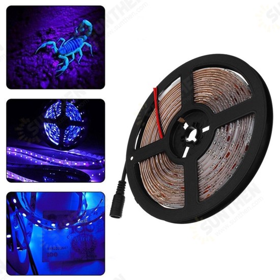 5M 36W 3528SMD Waterproof Flexible Purple 300 LED Strip Light with DC Connector DC12V