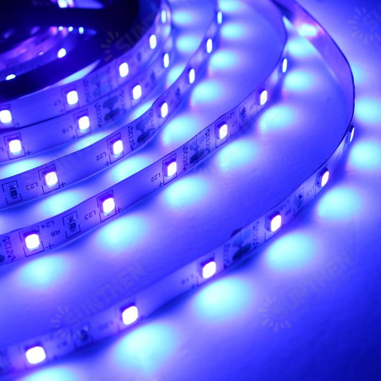 5M 36W 3528SMD Waterproof Flexible Purple 300 LED Strip Light with DC Connector DC12V