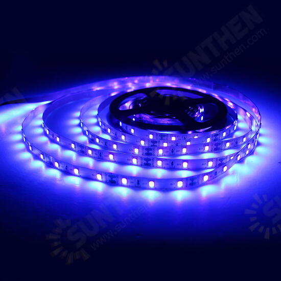 5M 36W 3528SMD Waterproof Flexible Purple 300 LED Strip Light with DC Connector DC12V