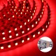 5M DC12V 8MM SMD3535 White Black PCB Non-waterproof RGB 300LED Strip Light for Indoor Home Decoration