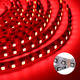 5M DC12V 8MM SMD3535 White Black PCB Non-waterproof RGB 300LED Strip Light for Indoor Home Decoration