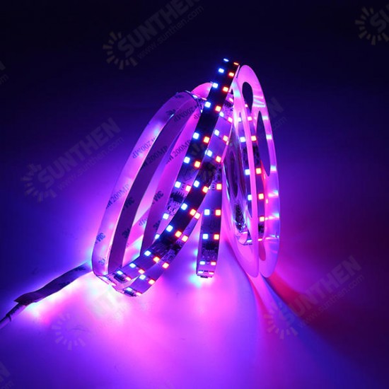 5M SMD3528 R G B Three Rows Non-waterproof LED Strip Light with DC Female Connector DC12V