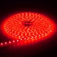 6M 5050 LED SMD Outdoor Waterproof Flexible Tape Rope Strip Light Xmas 220V