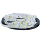 6mm Width Non-waterproof S Shape 2835 DC12V 5M Bendable DIY LED Strip Light Channel Letters Advertising Lamp