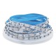 High Brightness Black/White PCB SMD3535 120LED/m RGB Color Changeable LED Strip Light DC12V for Indoor Home Decoration