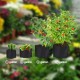 1-100Gallon Potato Planting Bag Pot Planter Growing Garden Vegetable Container