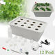 220V Hydroponic System Kit 12 Holes DWC Soilless Cultivation Indoor Water Planting Grow Box