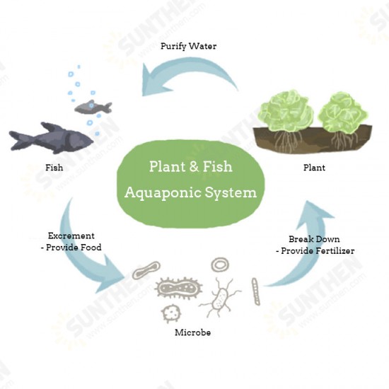 Creative Soilless Hydroponic Growing & Fish Tank Aquaponic System Kit Water Garden Microfarm Aquarium