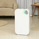 Air Purifier Ionizer Filter Allergies Eliminator Cleaner Dust Smoke