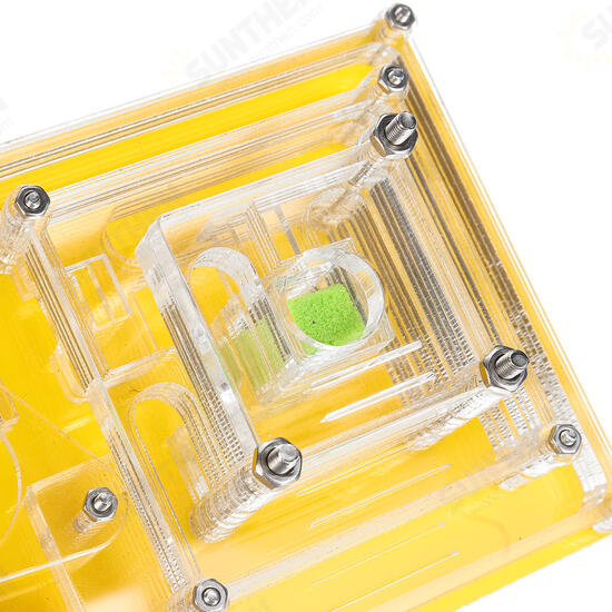 Acrylic Ant Feeding Nest Box Moisturizing Ant Case WIth Dropper