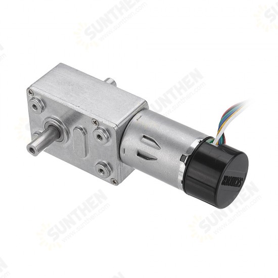 JGY-370 DC 24V Double Shaft Motor Reduction Gear Turbine Worm Self-locking Low Speed Motor