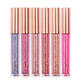 6 Colors Metallic Matte Lip Gloss Liquid Diamond Glitter Lipsticks Cosmetics Makeup