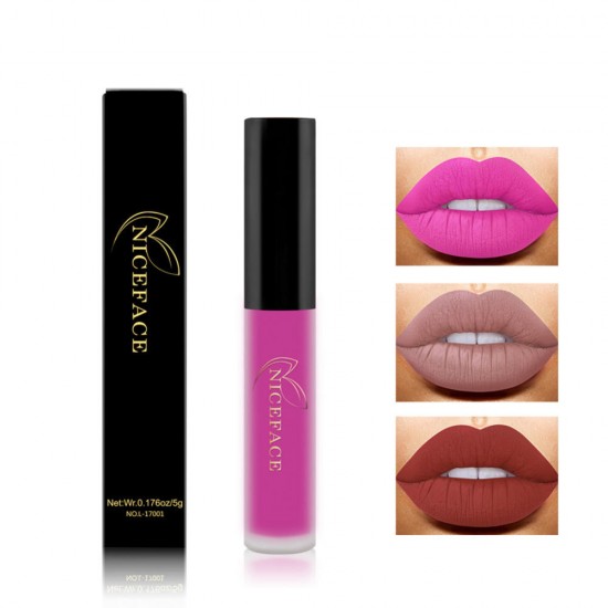 Matte Liquid Lipstick Makeup Lip Gloss Long Lasting Waterproof Lips Cosmetics